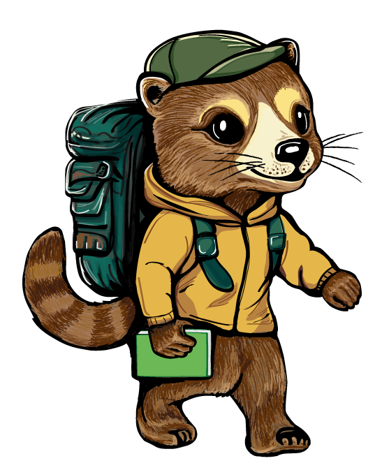 Olinguito2.png